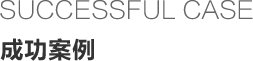成功案例