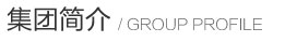 集团简介