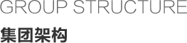 集团架构
