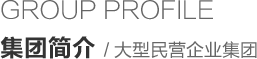 集团简介